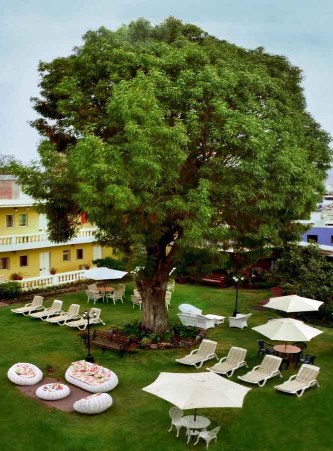 Casa De Avila Арекуипа Екстериор снимка